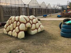 -菊园百果园