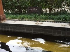 -航空小镇温泉