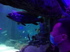 -沈阳海洋探索中心