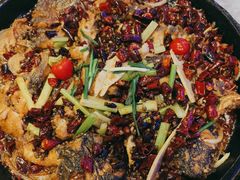 -老板恋上鱼(恒隆广场店)