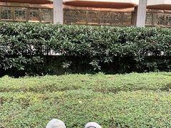-芭菲盛宴·环球美食(锦城万达广场店)