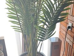 -泰合玺·精油疗愈SPA(狮山天街生活广场店)