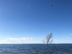 -青海湖二郎剑景区