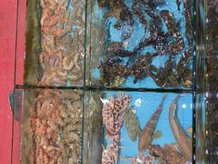 -天天海鲜城·海鲜大排档(新溪店)