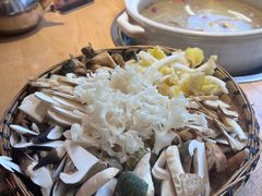 -鲜菌江湖正宗野生菌火锅