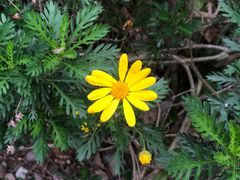 -海底捞火锅(5050购物中心店)