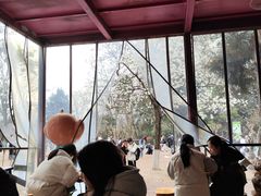 -鸡鸣汤包(红山动物园店)