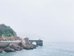 -枸杞岛