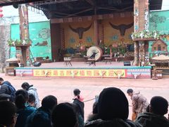 -呀路古热带植物园