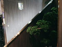 -野菌皇海景野生菌火锅(滨海大道店)