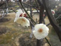 -白塘生态植物园