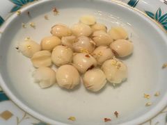 -子福慧(虹桥店)