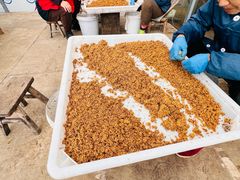 -苏州市吴中区光福窑上花果蜜饯厂