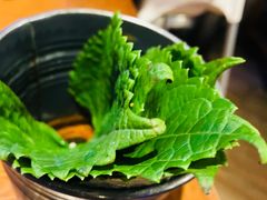 -鑫釜山海鲜烧烤(鑫丰国际店)