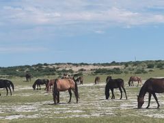 -红山国家森林公园