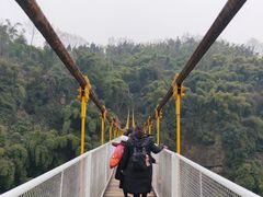 -川西竹海景区