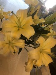 -唯伊美塑身美养连锁