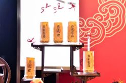 -派对猴生日派对策划(浦东店)