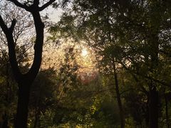 -蟒山国家森林公园-停车场