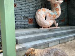 -北京野生动物园