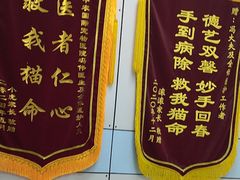 -中农国际动物医院24小时·猫科·骨科·急重症中心