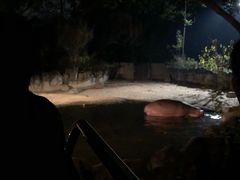 -清迈夜间动物园