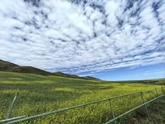 -扁都口生态休闲旅游区