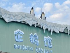 -珠海长隆海洋王国
