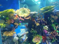 -成都浩海立方海洋公园