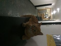 夫子庙国际青年旅社-南京夫子庙国际青年旅舍(平江府路店)