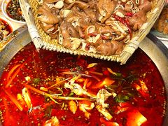 -蛙蛙鸡冷锅鱼(驷马桥店)