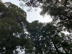 -颐和园