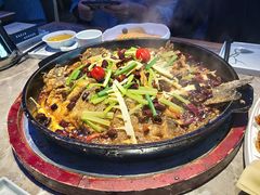 -老板恋上鱼(恒隆广场店)