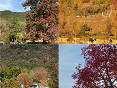 -塔川景区