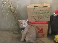 -MIMO CAFE(沙头角店)