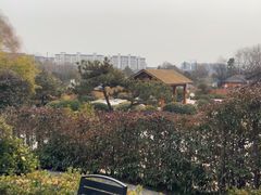 -郑州银基黄帝宫御温泉