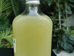 青玉油甘-SENTEA森茶(麦地丽日店)