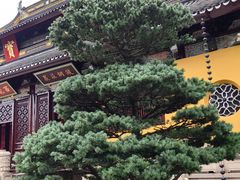 -西园戒幢律寺