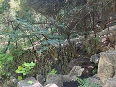 -四门塔风景区