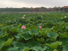 -南戴河国际娱乐中心