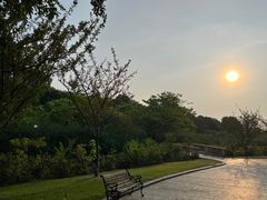 -成都南湖公园