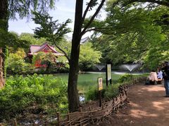 -井之头恩赐公园