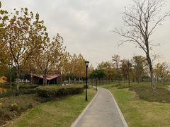 -上海山野camping·户外天幕烧烤·团建拓展营地