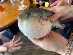 -永安鱼庄·镇江菜(丁卯店)