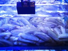 -渔民船说·北塘海鲜·天津菜·海肠捞饭(北塘古镇店)