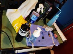 -见雾TATTOO STUDIO