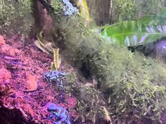 -香港海洋公园