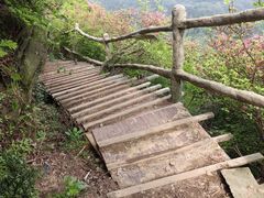 -木兰云雾山