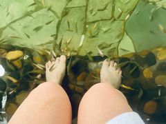 -天目湖涵田度假村
