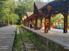 -合肥滨湖国家森林公园